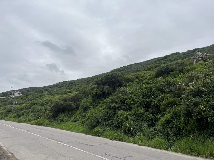 0 Bedroom Property for Sale in Amsterdamhoek Eastern Cape